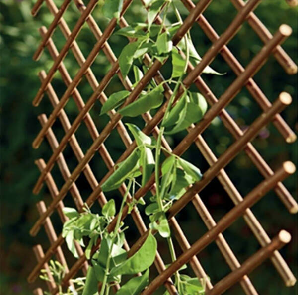 CELOSIA EXTENSIBLE MIMBRE NOVARTIX 0,5X1,5M 250016