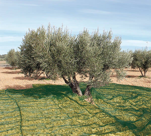 MANTA RECOGER OLIVA/ALMENDRA VERDE PROFER GREEN 3X6 M PG1000