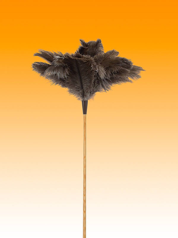 PLUMERO AVESTRUZ LARGO PLUMA 23-24 M/VARILLA MIRKO 60 CM 1010204