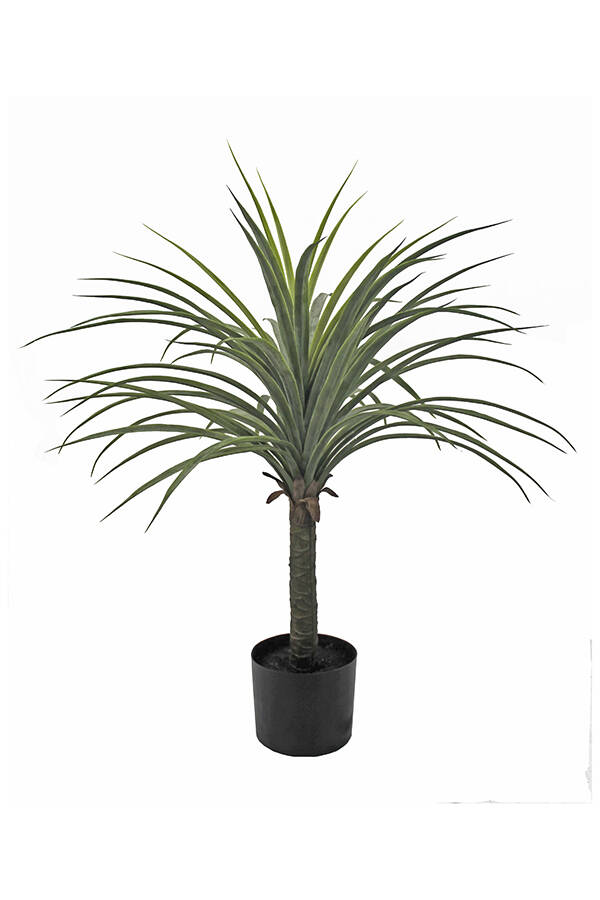PLANTA YUCCA SINDER 70 CM 6700102