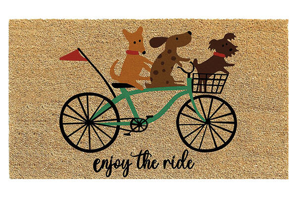 FELPUDO COCO BLANCO BICI DINTEX 45 X 70 CM 50679
