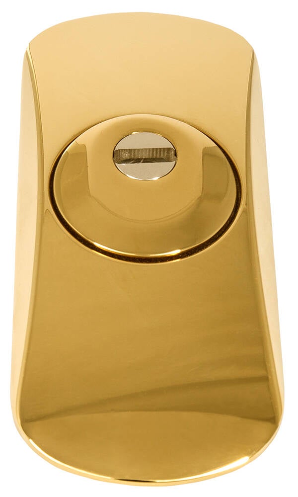 ESCUDO ALTA SEGURIDAD SQDO ORO LINCE - 10100P