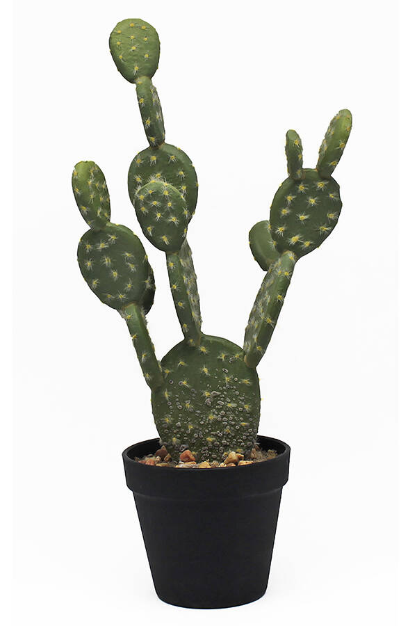MACETA CACTUS SINDER 44.5 CM 6702443