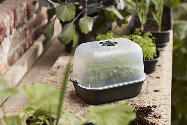 TAPA MINI HUERTO S ELHO 24 CM 6871202410000