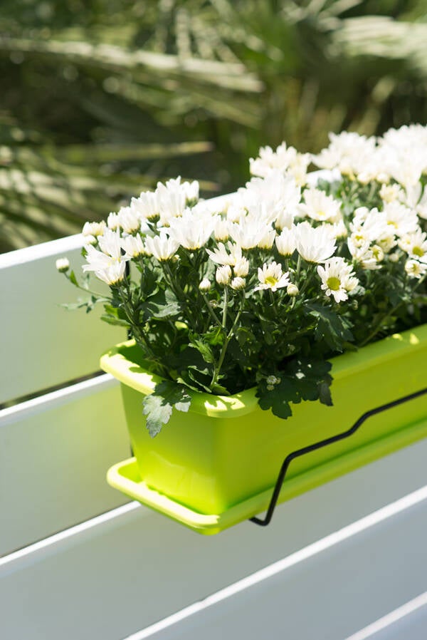 BALCONERA+SOPORTE PISTACHO INTEPLAS 50 CM SC20PS