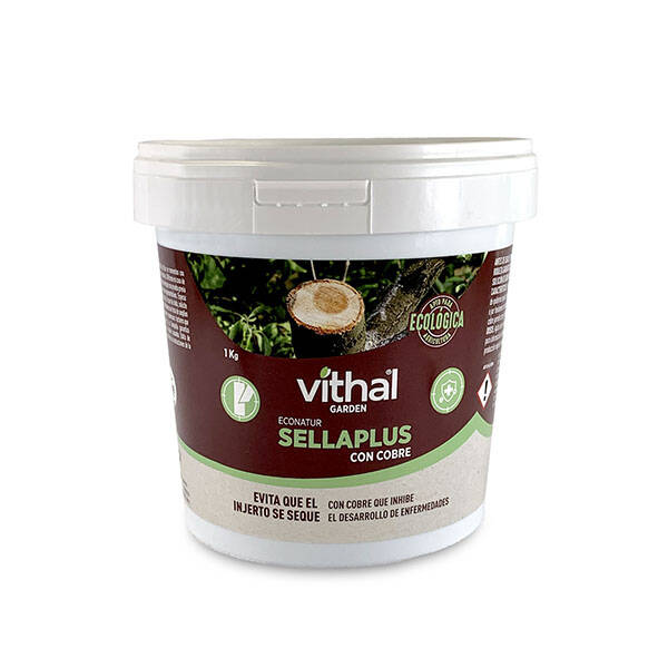PASTA CICATRIZANTE SELLAPLUS VITHAL 1 KG VG11008005