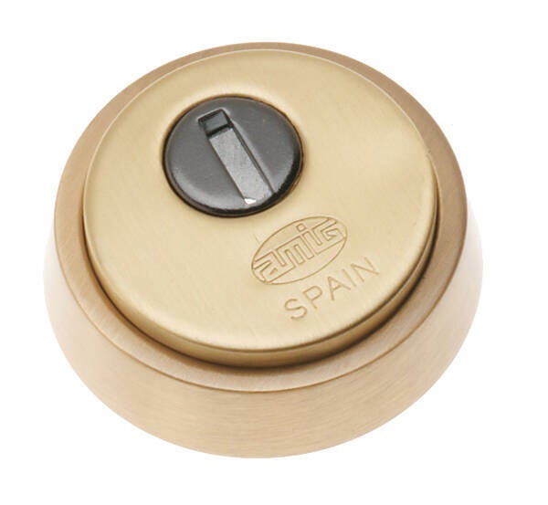 ESCUDO SEGURIDAD L M AMIG 65 MM 31-6360