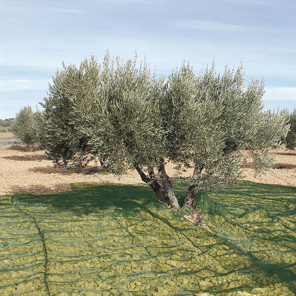 MANTA RECOGER OLIVA/ALMENDRA VERDE PROFER GREEN 5X10 M PG1002