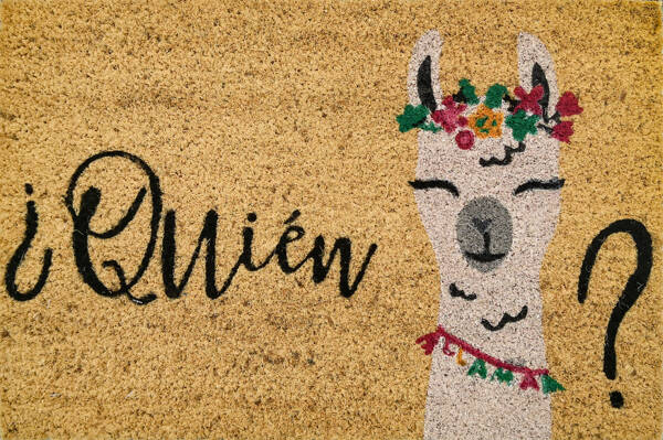 FELPUDO COCO BLANCO QUIEN LLAM DINTEX 40 X 60 CM 55-200