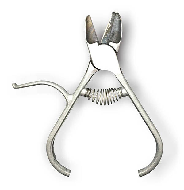 ALICATE NARANJERO P. CURVA CANET - VALENCIANES 2