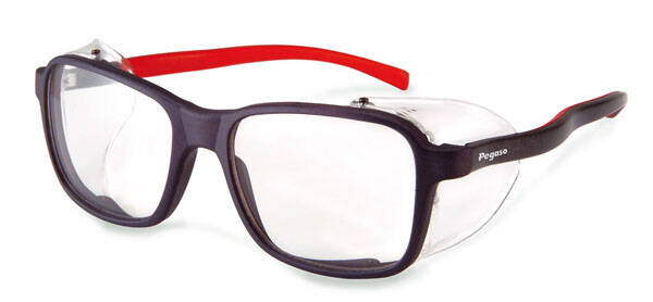 GAFAS PROTECCION INCOLORA PEGASO - 2009 EUROPA