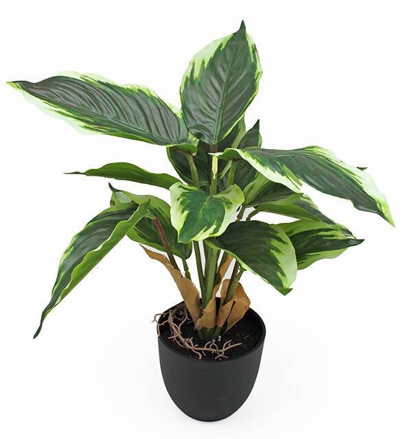 MACETA PLANTA 14 HOJAS SINDER 28X36 CM 6705351