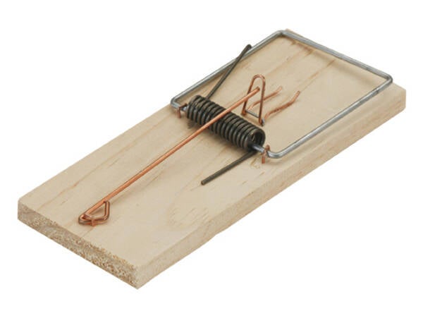 TRAMPA RATON TABLA MADERA GDE SAUVIC - 5135