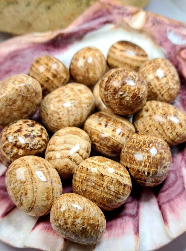 ARAGONITE Pierre roulée