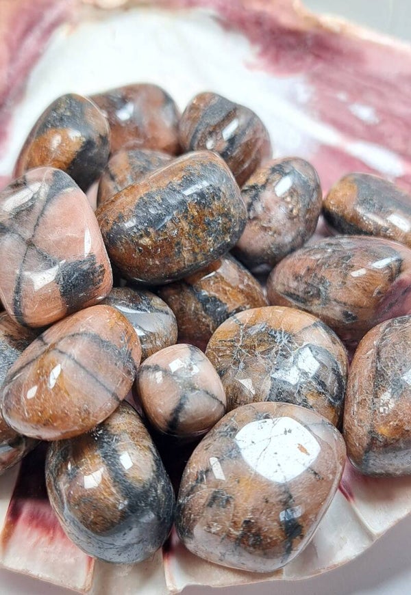 CHIASTOLITE Pierre roulée