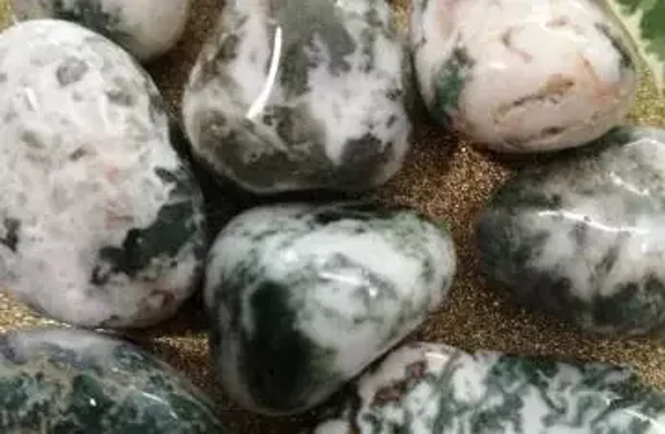 AGATE ARBRE Pierre roulée