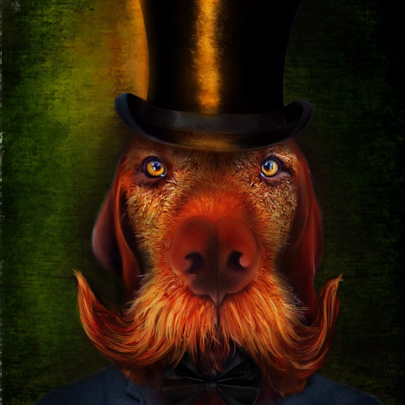 Lord Bryan - SOLD!