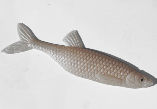 Albino MTH 2