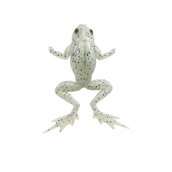 Dirty White Frog  (11 cm)