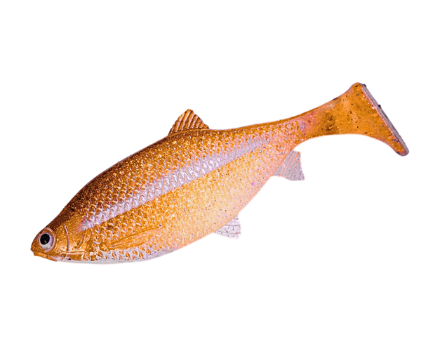 Gold Flash Jones Roach