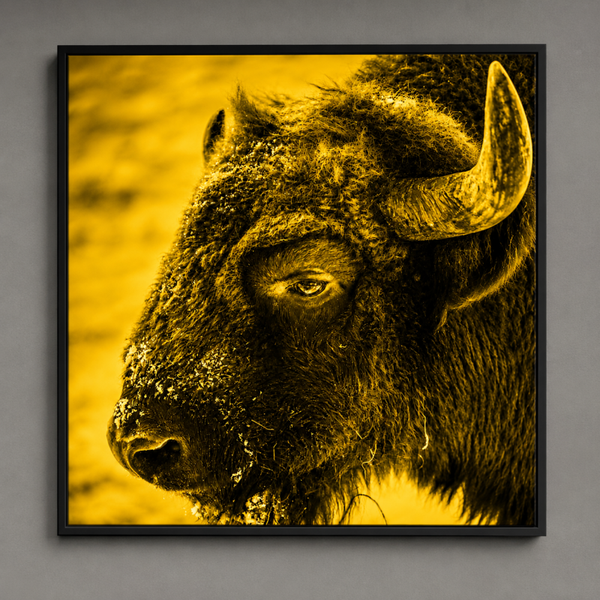 Fine Art Druck 100 cm x 100 cm gerahmt