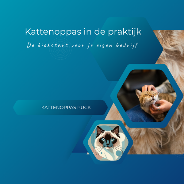 Kattenoppas in de praktijk