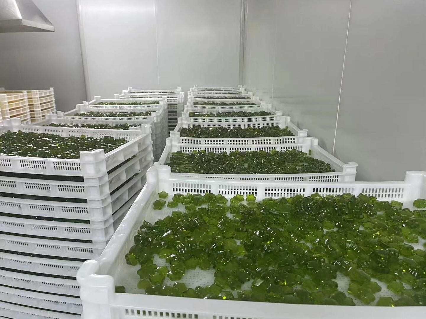 Plant Protein Fruchtgummis