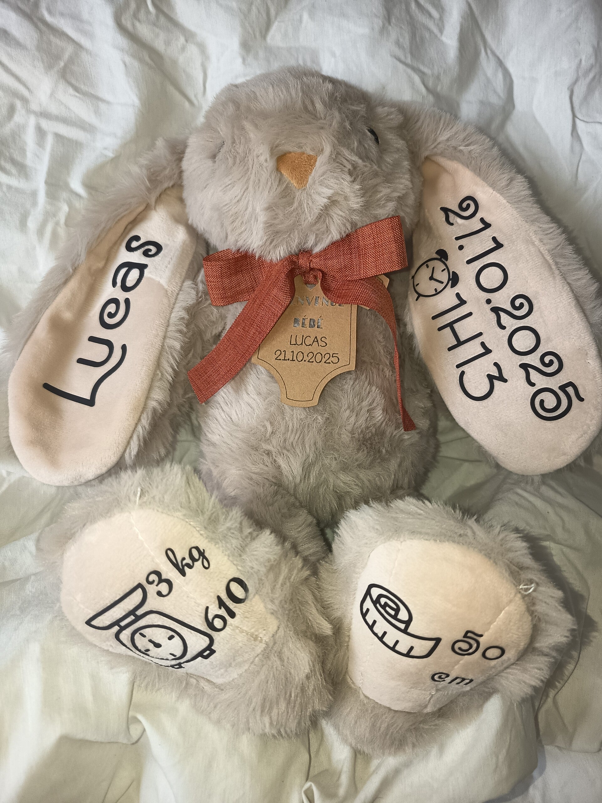 Peluche lapin tout doux