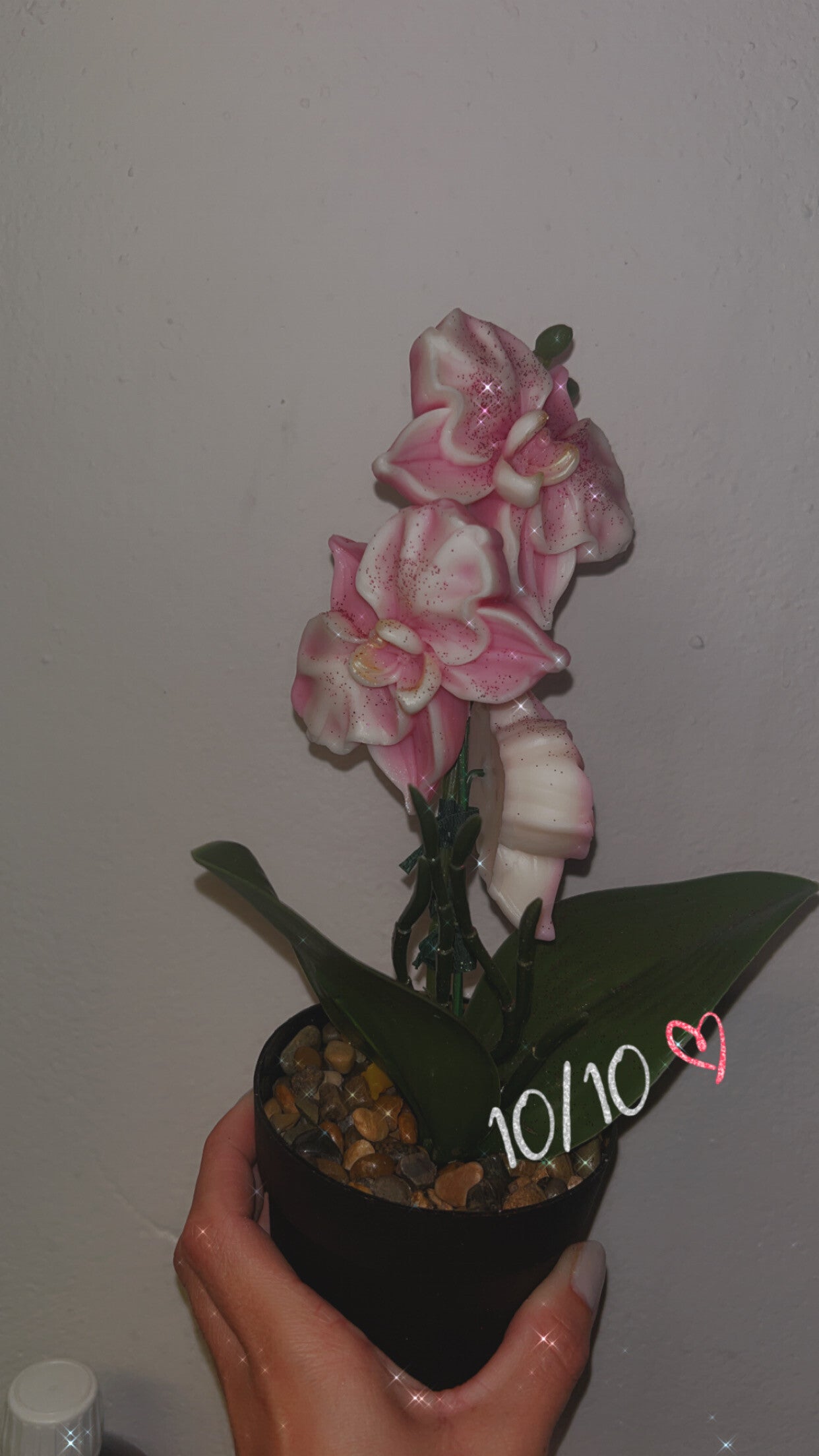 Petite orchidée