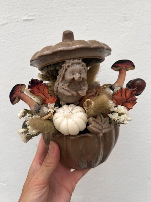 Citrouille Automne