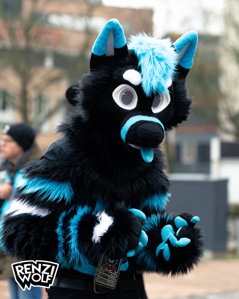 renziwolf-11-2-24-furmeet-8-standard.jpg