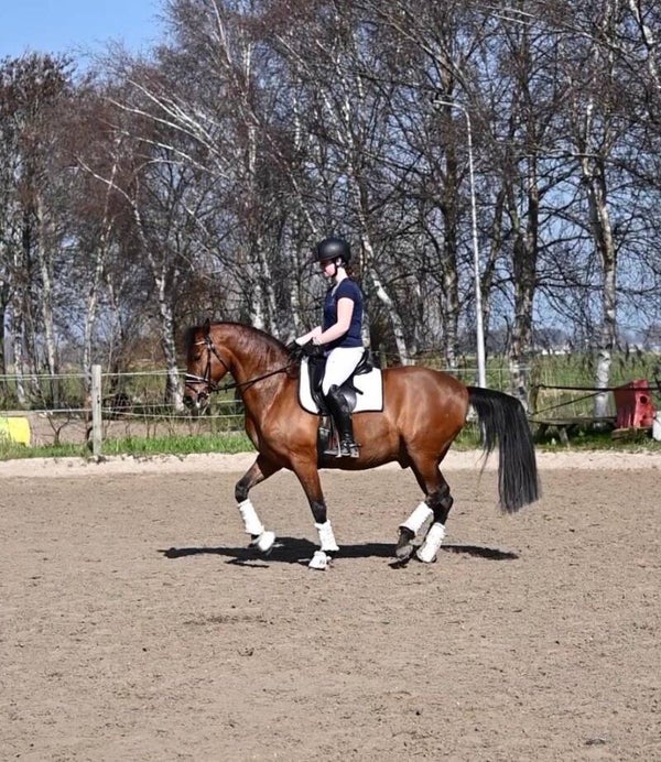 instructiedag 25 mei en/of wedstrijd 14 juni