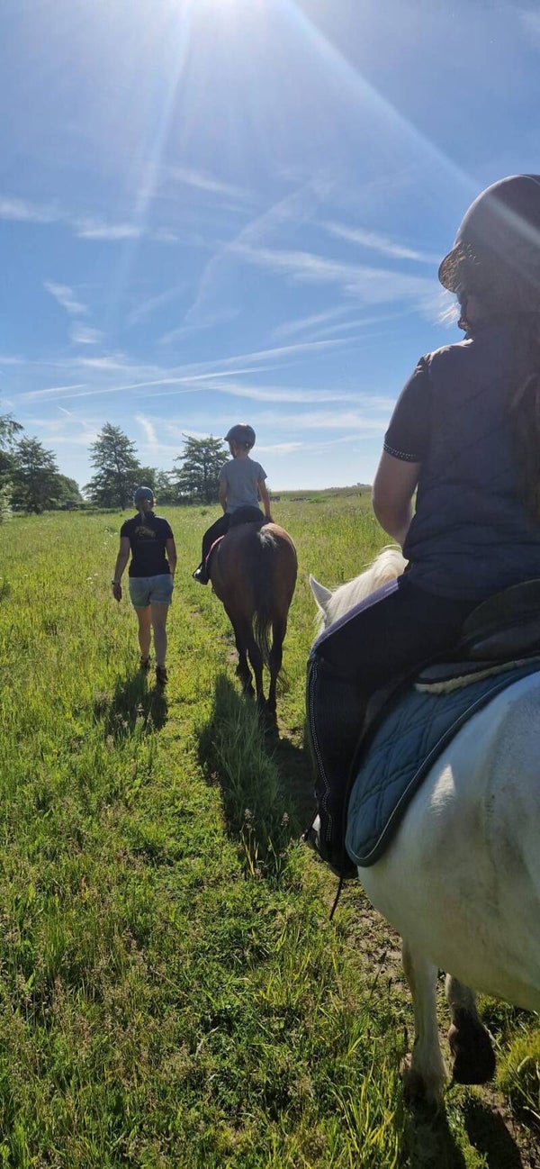 ponykamp zomervakantie