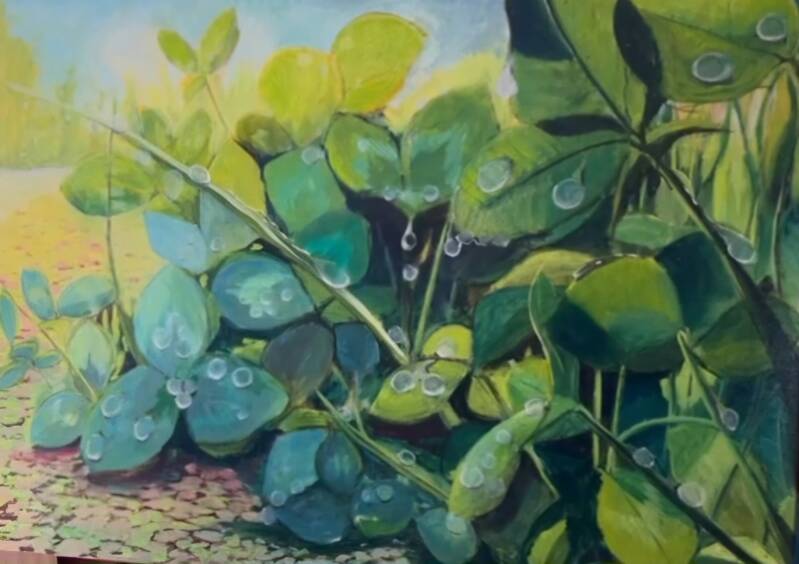 Na regen komt klaver 