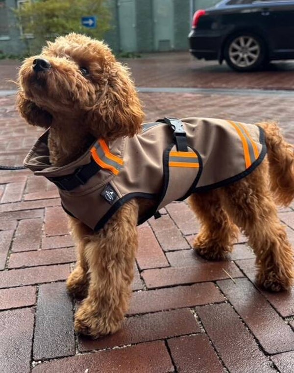 Softshell regenjas 4XS - 35  cm