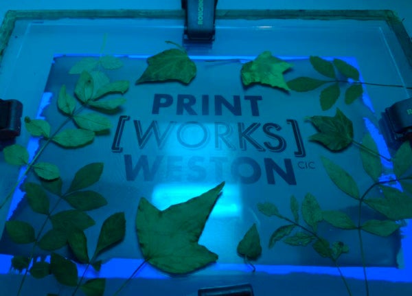 Introduction to Cyanotype,  Saturday 28th March, 10 -1pm