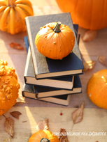 L'automne des tu devrais