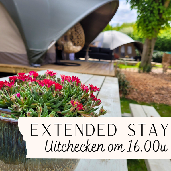 Extended Stay - late check out op maandag
