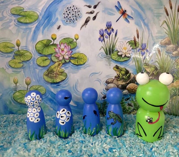 Levenscyclus van de kikker 5 houten pegdolls