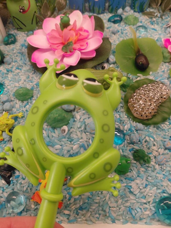 🐸🔍Vergrootglas kikker