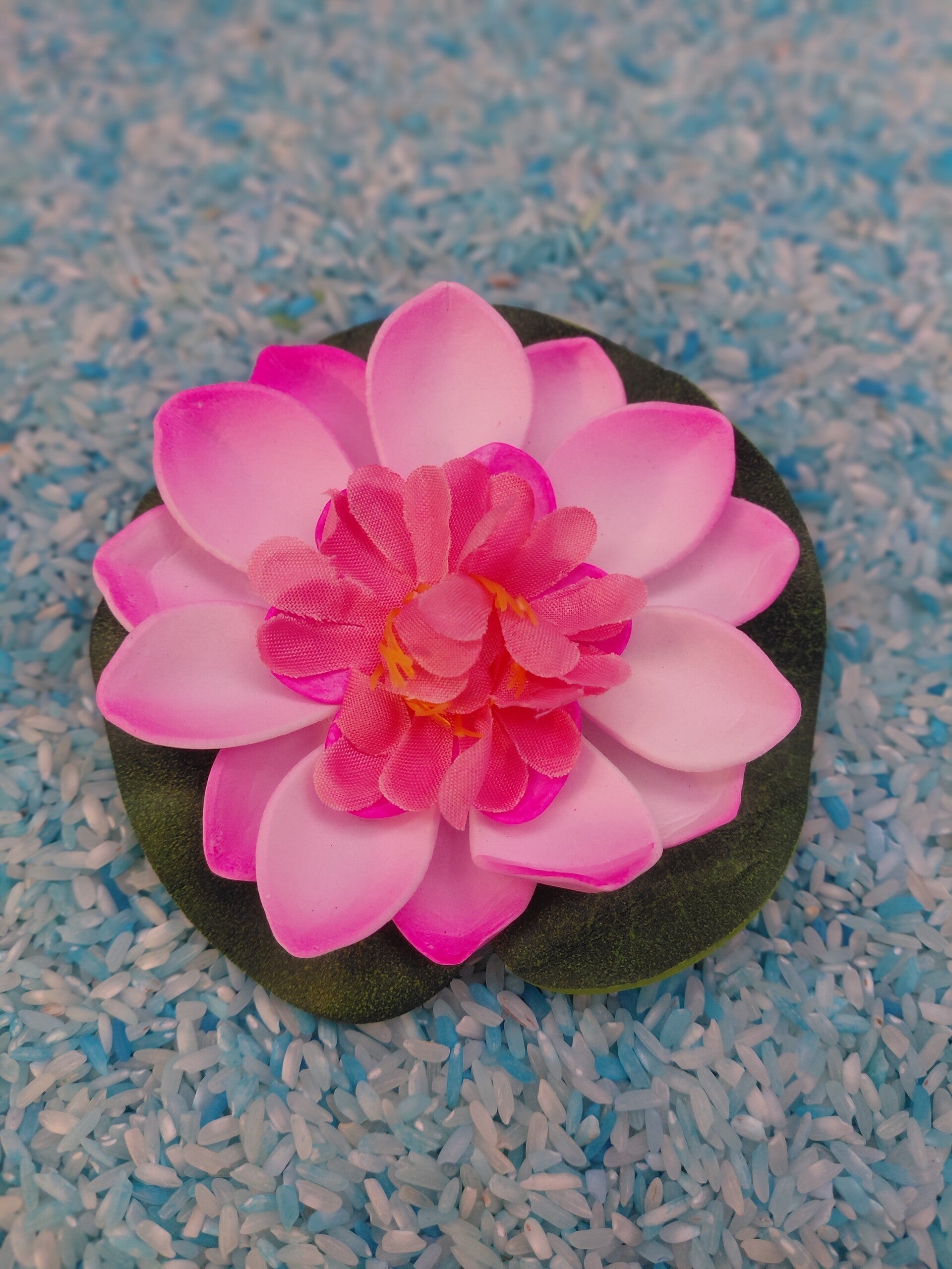 Waterlelie 10cm