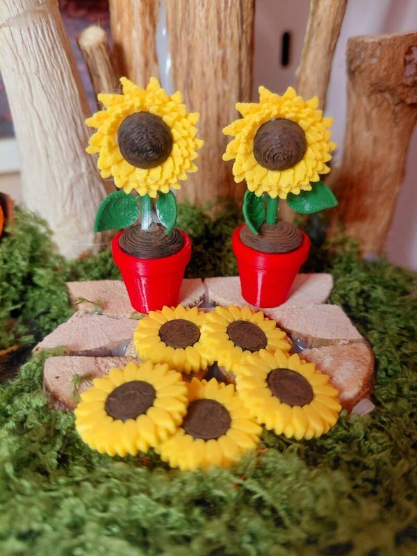 Zonnebloemen setje