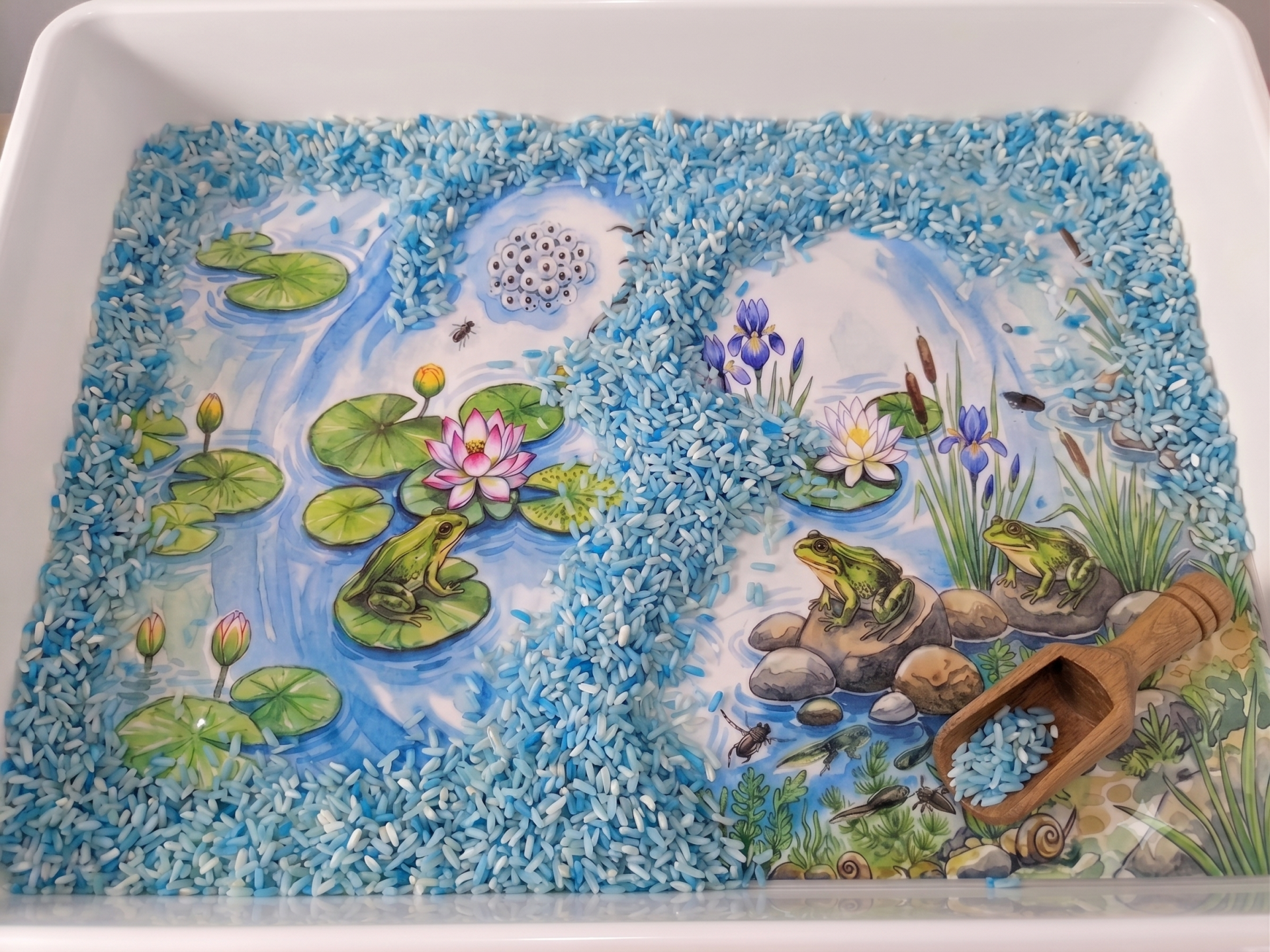 Tray-illustratie thema kikker