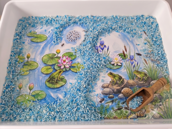 Tray-illustratie thema kikker