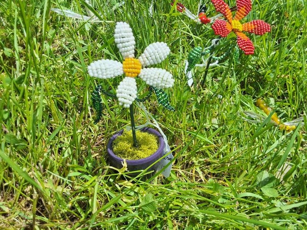 5-Petal Flower with leaves