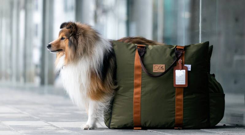 Honden Autostoel – Auto Hondenmand – Luxe Autostoel Hond - L’élianne