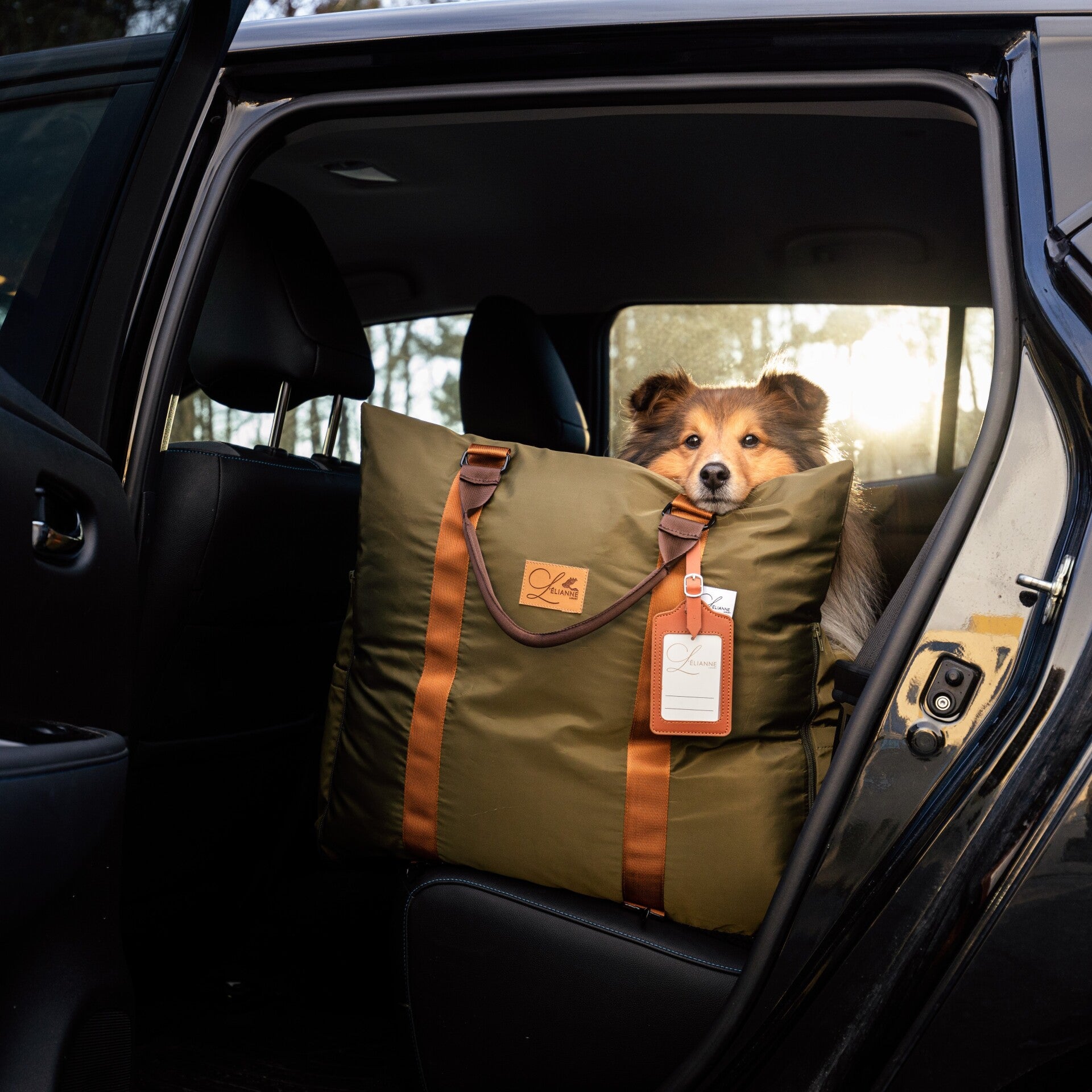 Honden Autostoel – Auto Hondenmand – Luxe Autostoel Hond - L’élianne
