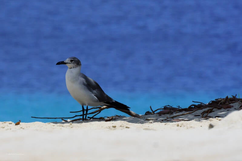 bonaire_2024-110-standard.jpg