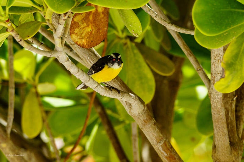 bonaire_2024-113-standard.jpg