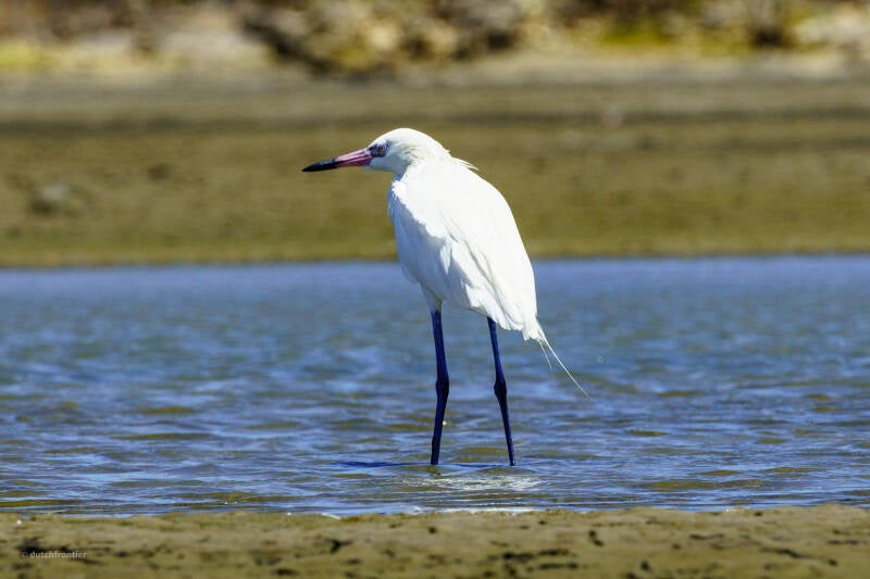 bonaire_2024-125-standard.jpg